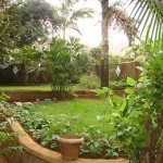 Kampala_house_expatriat_garden_1