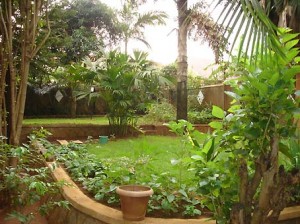 Kampala_house_expatriat_garden_1
