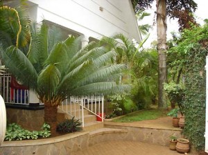 Kampala_house_expatriat_1