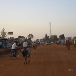 Lira---Kuh-auf-der-Strasse