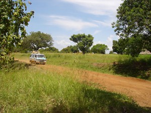 Matatu