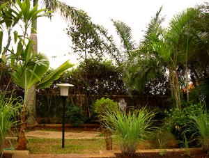 Garden-4---after